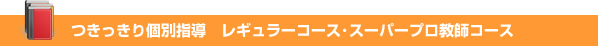 1対2個別指導とことんサポートコース