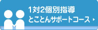 1対2個別指導とことんサポートコース